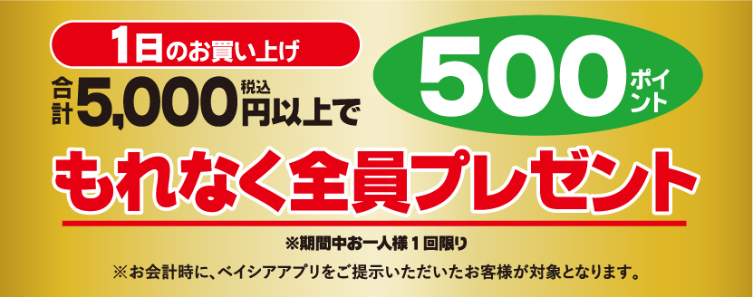 ベイシアアプリで1日5000円以上買うと500ポイントがもれなく貰える。1/2～1/3。