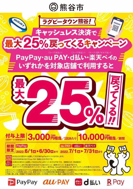 PayPayで岐阜県大垣市で20％バック。6/1～6/30。7月からは25％でauPay、d払い、楽天ペイが開催へ。